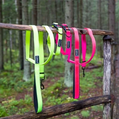 Rukka® Set: Bliss Neon Collar & Leash - Image 4