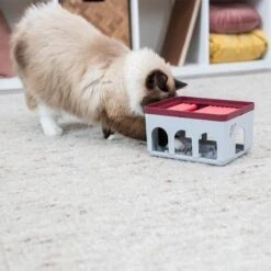 Trixie Cat Activity Rod Box 14 Trixie Cat Activity Rod Box -Perfect Care Shop 332214 trixie cat activity rod box hs 09 1