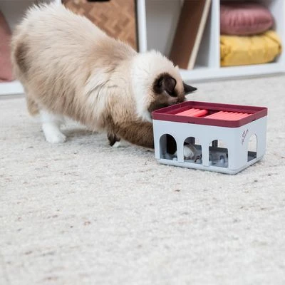 Trixie Cat Activity Rod Box 7 Trixie Cat Activity Rod Box - Image 7