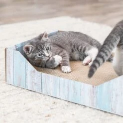 Trixie Cardboard Scratching Bed -Perfect Care Shop 332796 trixie kratzbett pappe hs 07 3