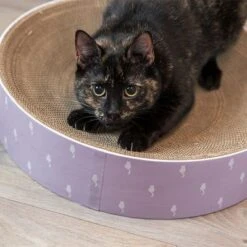 Trixie Scratching Bed Lilly 10 Trixie Scratching Bed Lilly -Perfect Care Shop 332797 trixie kratzbett lilly hs 07 3