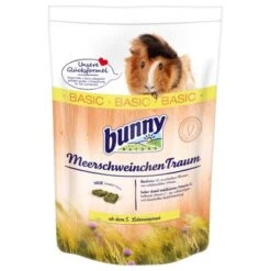Bunny GuineaPigDream BASIC