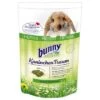 Bunny RabbitDream HERBS