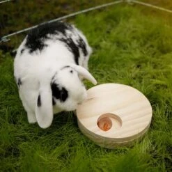 Kerbl Thinking & Learning Game Table -Perfect Care Shop 343896 kerb denk lernspieltisch hs 06 8