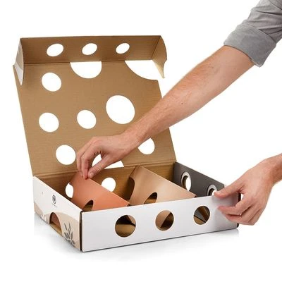 CanadianCat Company Intelligence Toy MagicBox 7 CanadianCat Company Intelligence Toy MagicBox - Image 7