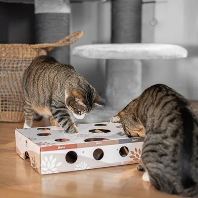 CanadianCat Company Intelligence Toy MagicBox 5 CanadianCat Company Intelligence Toy MagicBox - Image 5