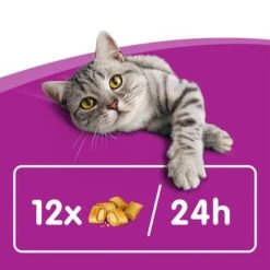 Whiskas Temptations Mixed Pack -Perfect Care Shop 348898 mars whiskas snacks mixpack 16x60g hs 04 8