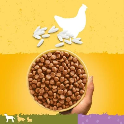 Pedigree Junior Maxi Complete - Chicken & Rice 2 Pedigree Junior Maxi Complete - Chicken & Rice - Image 2