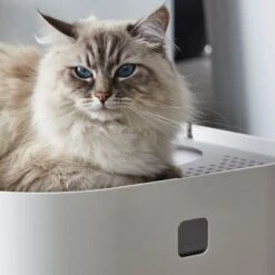 Modko ModKat Cat Litter Box -Perfect Care Shop 35895 modkat katzentoilette wei hs 03 1