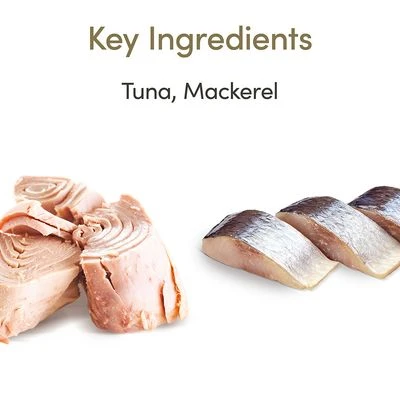 Applaws Pouches Cat Food In Jelly 16 X 70g 2 Applaws Pouches Cat Food In Jelly 16 X 70g - Image 2