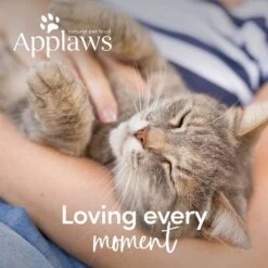Applaws Pouches Cat Food In Jelly Mixed Pack 12 X 70g 15 Applaws Pouches Cat Food In Jelly Mixed Pack 12 X 70g -Perfect Care Shop 362600 applaws pouch jelly mix 12x70g hs 07 4