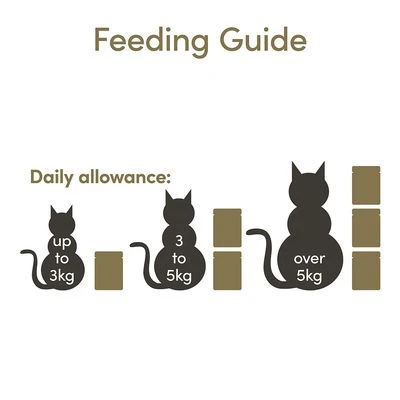 Applaws Pouches Cat Food In Jelly Mixed Pack 12 X 70g 7 Applaws Pouches Cat Food In Jelly Mixed Pack 12 X 70g - Image 7