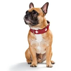 HUNTER Swiss Dog Collar -Perfect Care Shop 36707 hunter swiss3 3