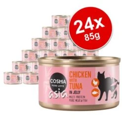 Cosma Asia In Jelly Saver Pack 24 X 85g
