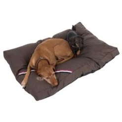 Champion Dog Cushion -Perfect Care Shop 433716 hundekissen champion 09 dsc0552 5