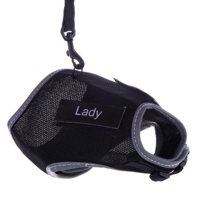 Trixie XCat XL Harness With Lead And Exclusive Stickers 2 Trixie XCat XL Harness With Lead And Exclusive Stickers - Image 2