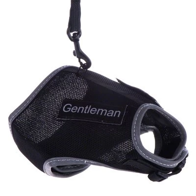 Trixie XCat XL Harness With Lead And Exclusive Stickers 3 Trixie XCat XL Harness With Lead And Exclusive Stickers - Image 3