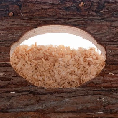 Burrow & Play Tower Diggy 2 Burrow & Play Tower Diggy - Image 2