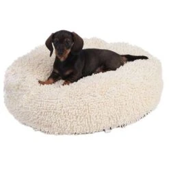 Dog Cushion - Cream 11 Dog Cushion - Cream -Perfect Care Shop 51120 dog o dsc1461 5