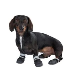 Sports & Protective Dog Boots