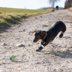 Sports & Protective Dog Boots 11 Sports & Protective Dog Boots -Perfect Care Shop 52149 hundeschuhe xs fg 0967 9