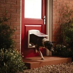 PetSafe Staywell® Pet Door Original -Perfect Care Shop 56232 petsafe hundeklappe staywell 740 hs02 9
