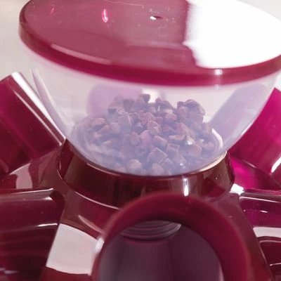 Trixie Cat Activity Tunnel Feeder 6 Trixie Cat Activity Tunnel Feeder - Image 6