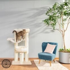 New Release -Perfect Care Shop 59367 np kb l 1000x1000 logo la dsc8387 7