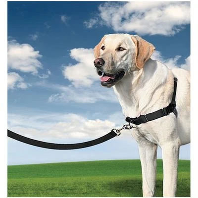PetSafe® Easy Walk® Harness 2 PetSafe® Easy Walk® Harness - Image 2