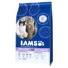 IAMS Proactive Health Multi-Cat With Salmon & Chicken Dry Cat Food