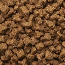 IAMS Proactive Health Multi-Cat With Salmon & Chicken Dry Cat Food -Perfect Care Shop 61031 pla iams adultmulticat produktbild 0