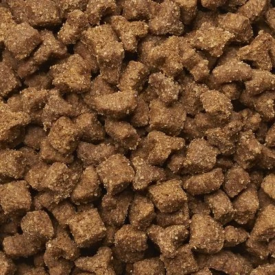 IAMS Proactive Health Multi-Cat With Salmon & Chicken Dry Cat Food - Image 3