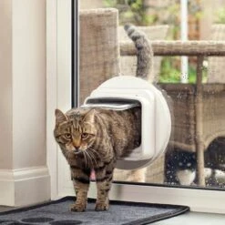 SureFlap DualScan Microchip Cat Flap -Perfect Care Shop 62267 sureflap mikrochip katzenklappe hs 05 3