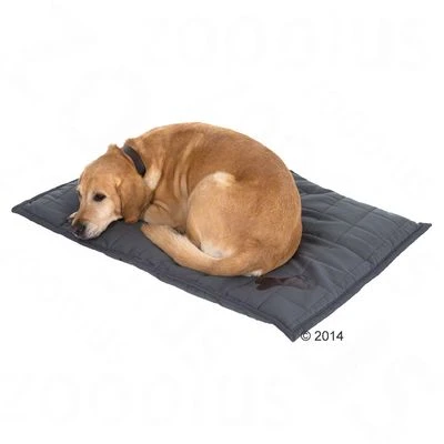 Freedom Dog Cushion – Bone 8 Freedom Dog Cushion – Bone - Image 8