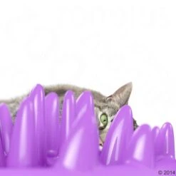 NORTHMATE ® Catch Cat Feeder -Perfect Care Shop 63169 karlie flamingo northmate catch mit katze1 5