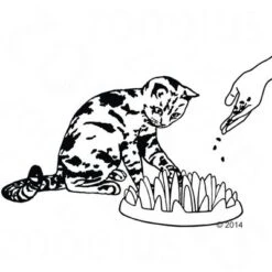 NORTHMATE ® Catch Cat Feeder -Perfect Care Shop 63169 karlie northmate catch zeichnung 0