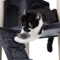Rapunzel Cat Tree -Perfect Care Shop 64697 rapunzel darkgray fg 25 6