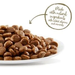 Applaws Chicken & Duck Cat Food -Perfect Care Shop 64767 applaws cat adult huhnente 2kg hs 04 0