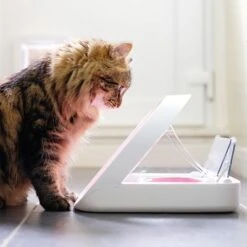 SureFeed Microchip Pet Feeder -Perfect Care Shop 65566 surefeed microchip pet feeder hs 01 1