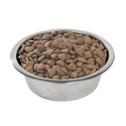 Purina Pro Plan Medium Adult Everyday Nutrition -Perfect Care Shop 66993 mediumadult optibalance hs 02 6