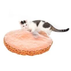 Funny Ball Cat Toy -Perfect Care Shop 67336 sincerepet funny ball fg 7795 4