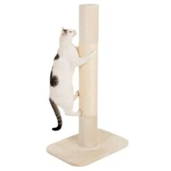 XXL Jumbo Scratching Post -Perfect Care Shop 68650 xxl kratzstamm jumbo kratzstamm creme fg 1321 6