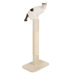 XXL Jumbo Scratching Post -Perfect Care Shop 68650 xxl kratzstamm jumbo kratzstamm creme fg 1323 7