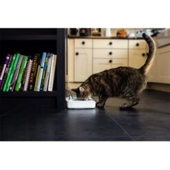 SureFeed Sealed Pet Bowl -Perfect Care Shop 69308 pla 7 luftdichte futt 5