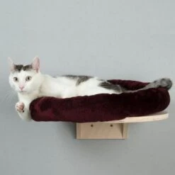 Natural Paradise Wall-Mounted Bed - Dahlia -Perfect Care Shop 69666 wandliegebett natural paradise fg 3928 5