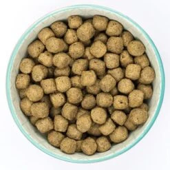 Burns Fish & Brown Rice - Adult & Senior Original -Perfect Care Shop 6 original fish 1