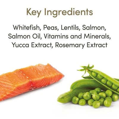 Applaws Cat Food Economy Packs 3 Applaws Cat Food Economy Packs - Image 3