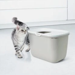 Savic Hop In Litter Box -Perfect Care Shop 71915 savic katzentoilettehopin hs 04 0