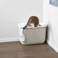 Savic Hop In Litter Box -Perfect Care Shop 71915 savickatzentoilette hopin hs 04 5