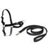 PetSafe® Easy Walk® Harness